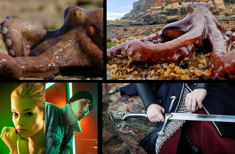 Mood board collage of pirate-themed reference photographs of skin, metal, fabric, wet hair and sea creatures grouped for material study
